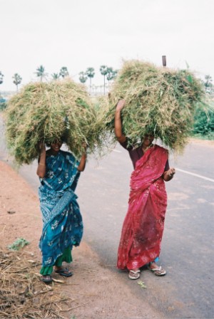 Women at work in rural India